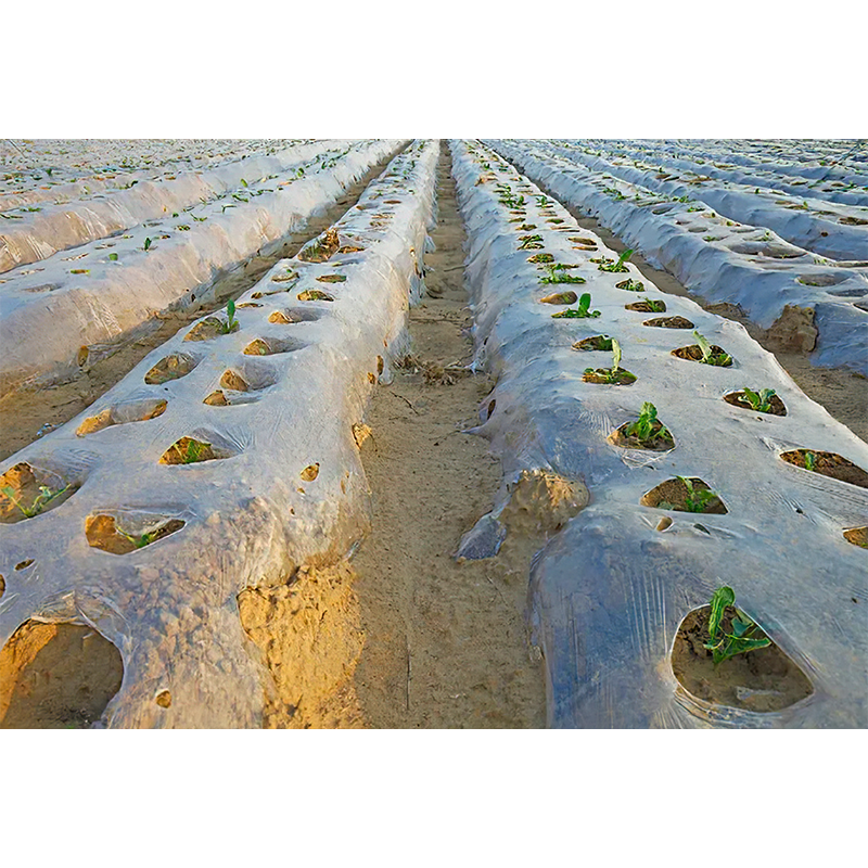 生物降解地膜